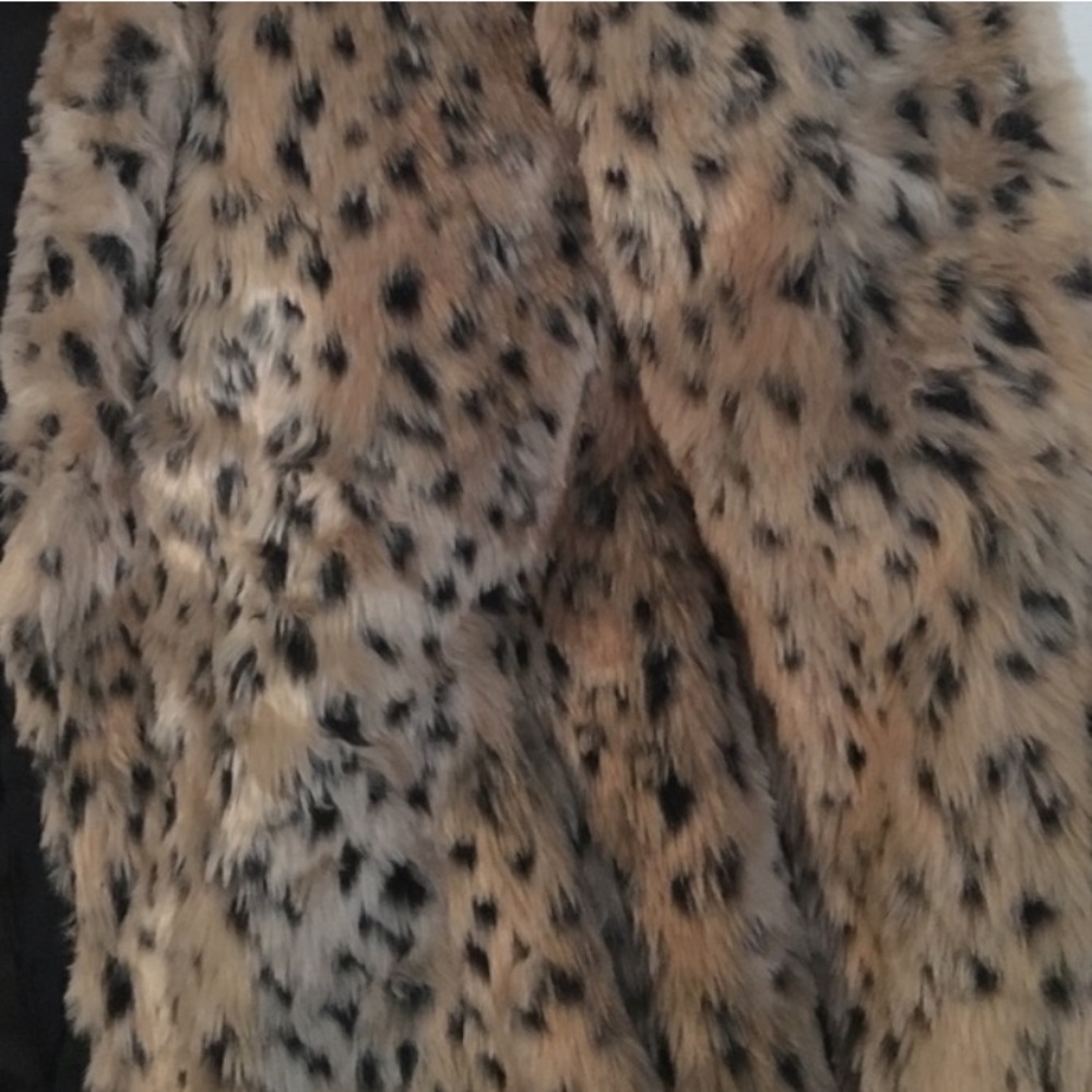 Cheetah Jacket - Picture 2 of 3